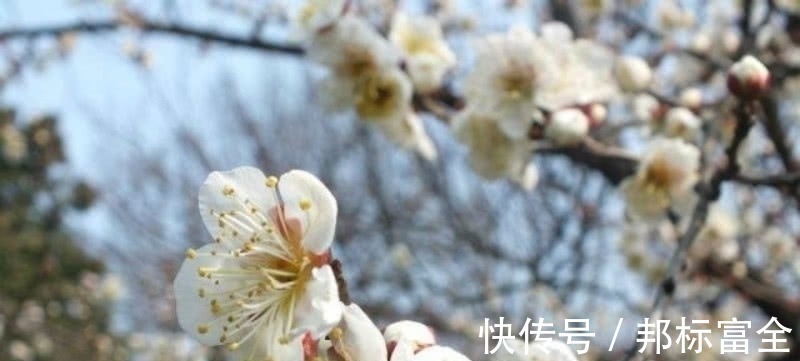 早春@宋朝一位二流的诗人,却写下一流的咏梅诗,通篇充满了诗情画意!