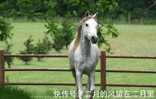 更上一层楼|7月让人羡慕的3大生肖，运势好起来挡都挡不住