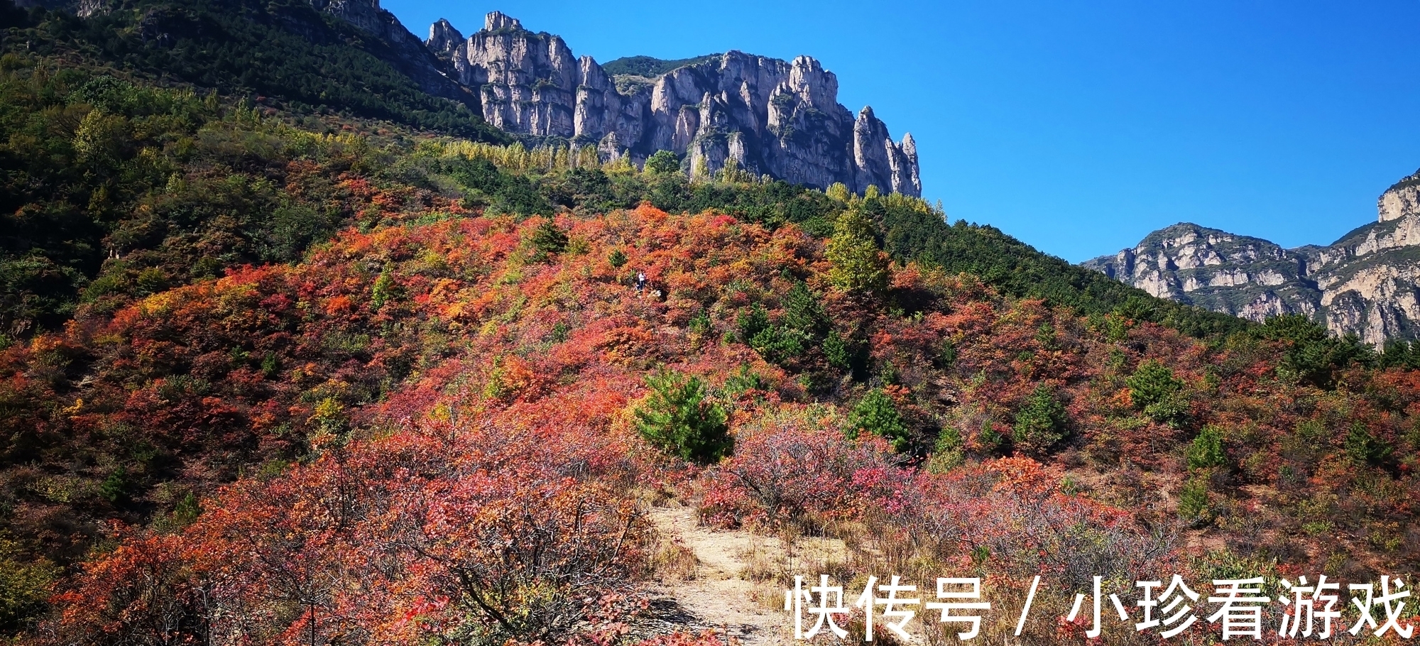 石板岩镇|南太行最美的红叶林，已进入最佳观赏期，人少景美，你知道在哪吗