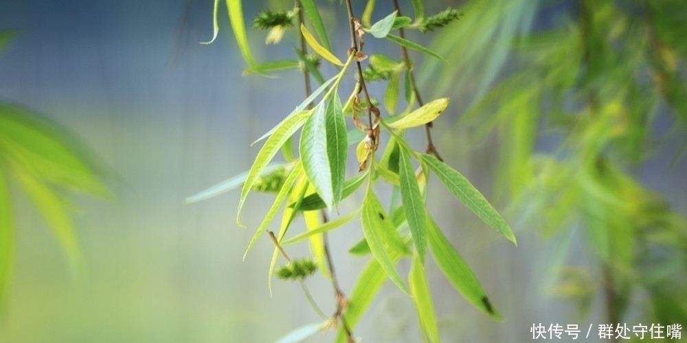 在远方$李白这首思妇诗,写作手法极尽巧妙委婉,堪称经典佳作!