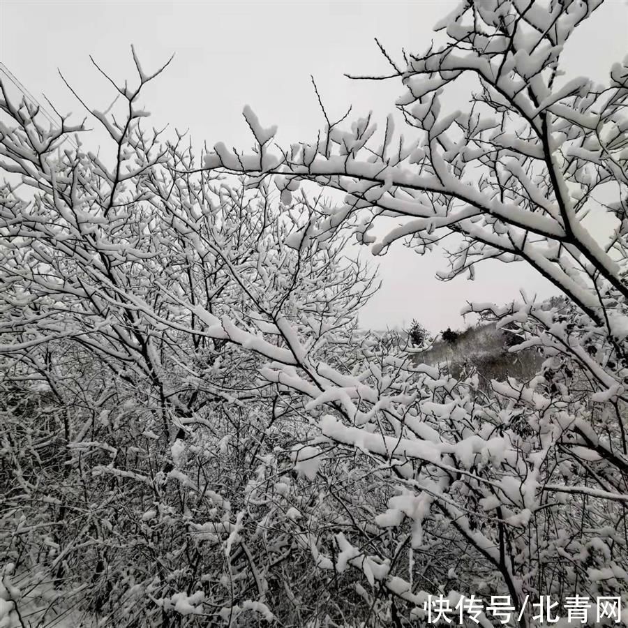 大悟|春雪降瑞：大悟出现罕见雪凇奇观