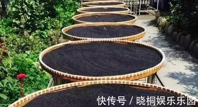 秘诀|养生家密而不传的“养肾秘诀”大公开！益气力、乌发养颜、补肝肾