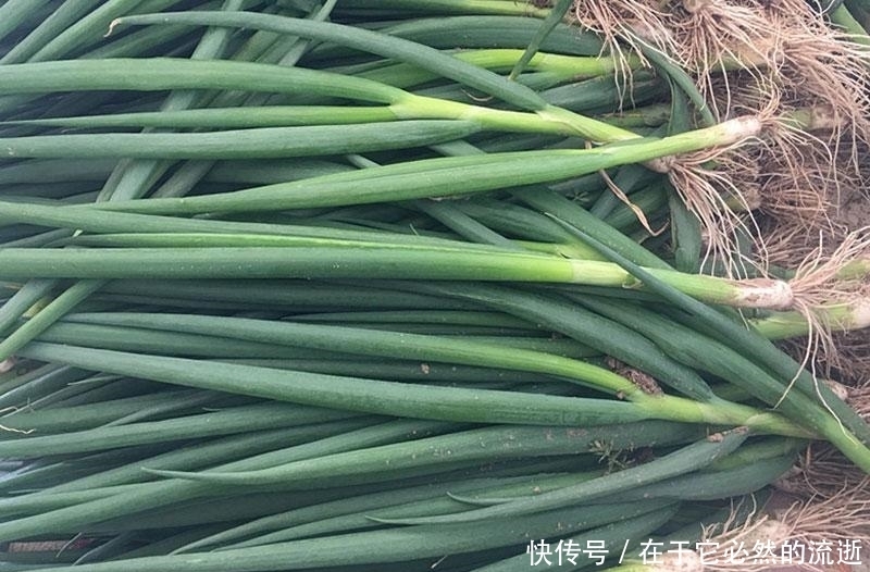 春天买葱时,注意区分“小葱”和“香葱”,差别很大,买错味道差