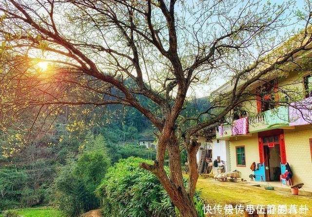 农村俗语“女怕三撩,男怕三缠,树怕三摇”,为啥女怕三撩?