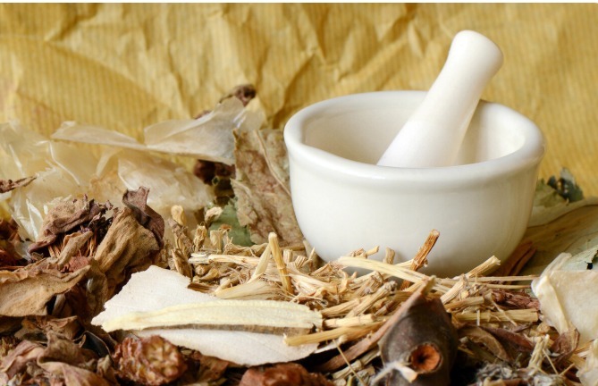 斑蝥|提醒常用的3类中药，对肾脏的损害很大，很多人还当良药来服