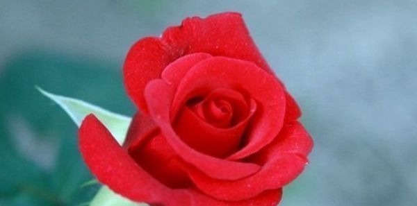 孝顺|出生在以下时辰的孩子,个个“文曲星”,孝顺懂事,长大有出息