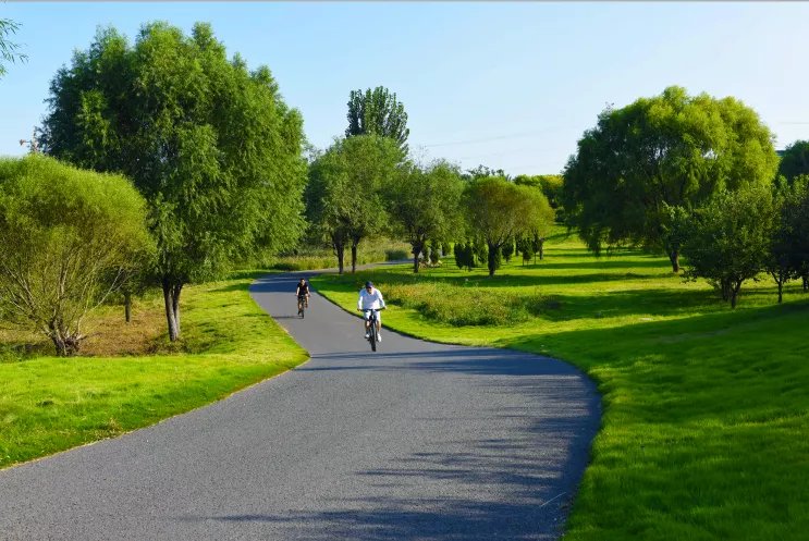 商场|总投资45亿元！坊子又要建大型商场！约300亩用地挂牌出让