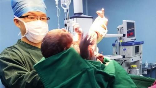 宝妈|男医生充当了“接生婆”的角色,产妇的隐私怎么办?宝妈先别慌