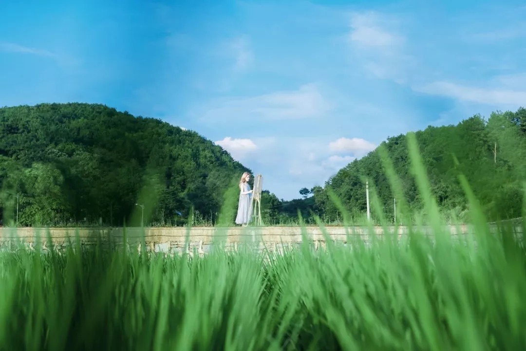 季羡林|世界上最便宜的长寿药，就一个字！