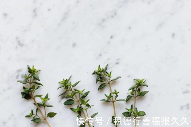 弟子规|复旦教授:不打不骂不罚是培养不出优秀孩子的!值得一看