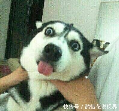 补血|红瓶的喝了补血,蓝瓶的喝了补钙