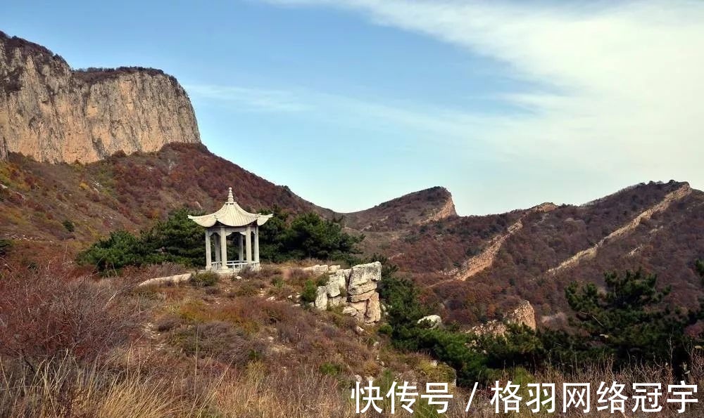 野豌豆|伯夷叔齐饿死不食周粟，采薇而食，“薇”指的什么？