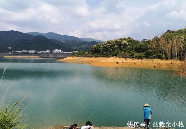 真的|涨水后钓鱼首选这几个地方,只要钓况非极端爆护概率真的很大