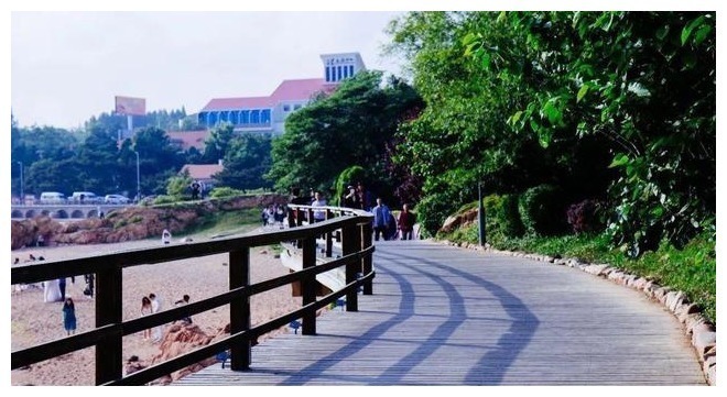 步数|查出高血压后,51岁大姐每天走10000步来“降压”,如今怎么样了