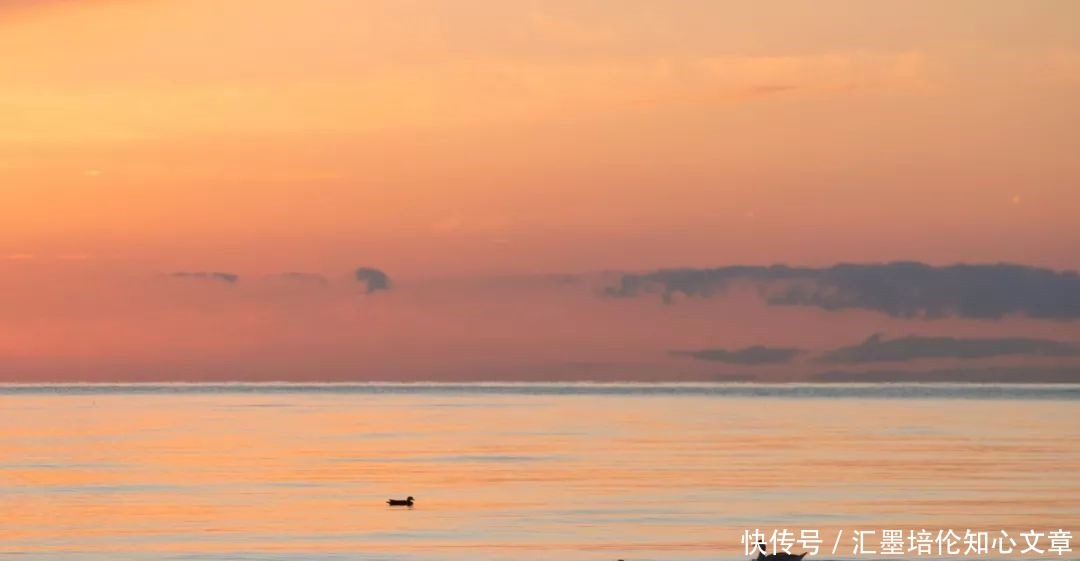 落幕|《中国诗词大会》第五季落幕,10首开场诗词,让人久久回味!