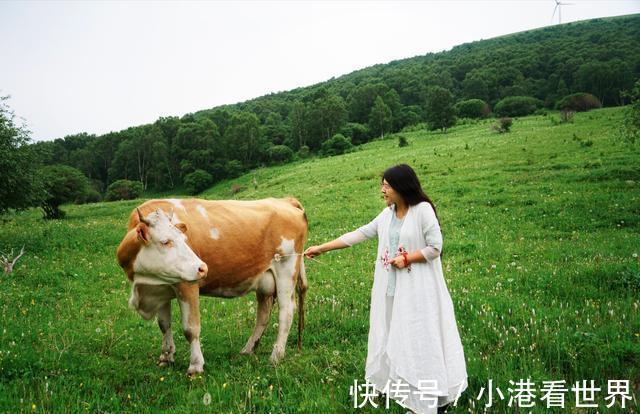 京北|中国避暑的首选目的地，自驾爱好者的天堂，一路风景如画