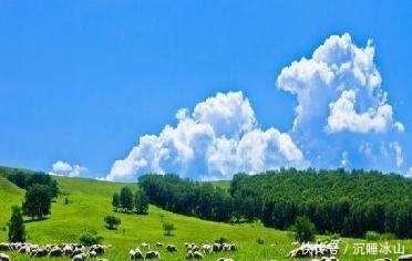 十五首描写小草的古诗词,为君闲暇助兴,茶余饭后解闷