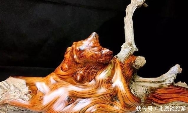 玩家|买了块崖柏料,邻居笑像航母,打磨出了妖艳虎皮纹