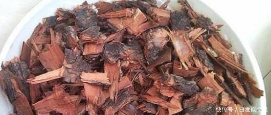 爷爷捡回3种“小东西”来养花,往土里埋“1点”,2年不用施肥!