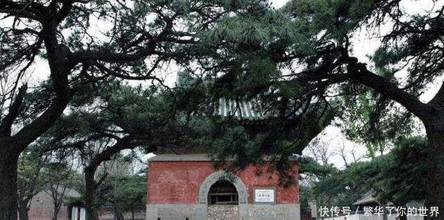 王爷|清朝灭亡后，王爷有多惨，有的蹬三轮，有的竟然盗挖祖陵卖钱度日！