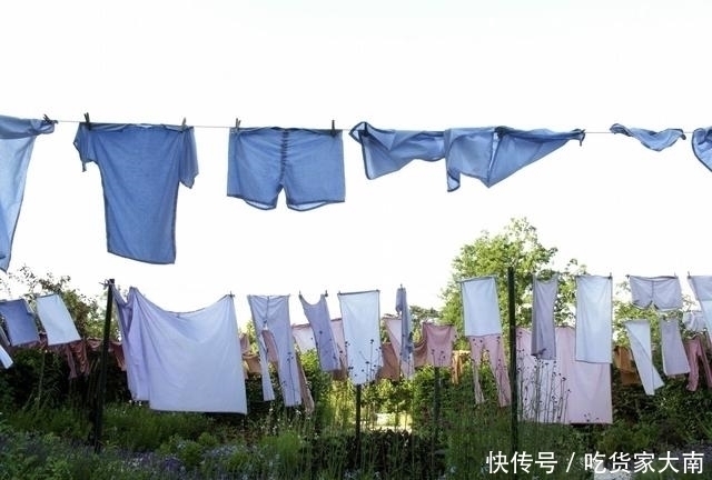 毛孔|2种植物是“螨虫克星”,用来洗脸不费事,却能消灭毛孔深处螨虫