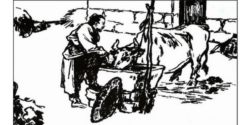 后发|农夫舍不得病牛，白花钱喂养着，五年后发了大财