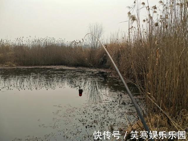 鲫鱼|小鲫鱼连杆钓,大鲫鱼不见影?找到原因对症下药才能钓过瘾