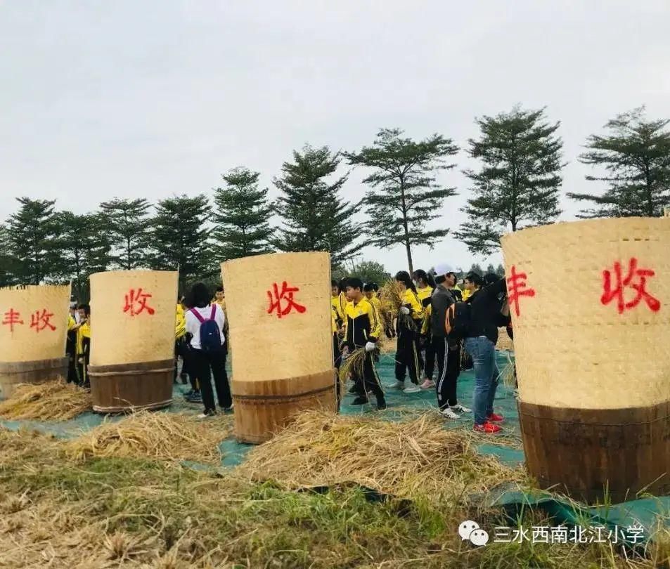 多彩|多点开花！快看三水教育的多彩活动