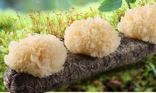 毒素|女性到了中年,常吃以下食物,排出毒素,预防子宫早衰