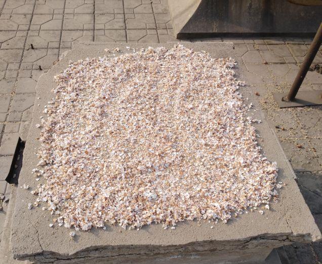 花儿|养花肥:盆里放个蛋,1年不用施肥,花儿照样开爆盆!