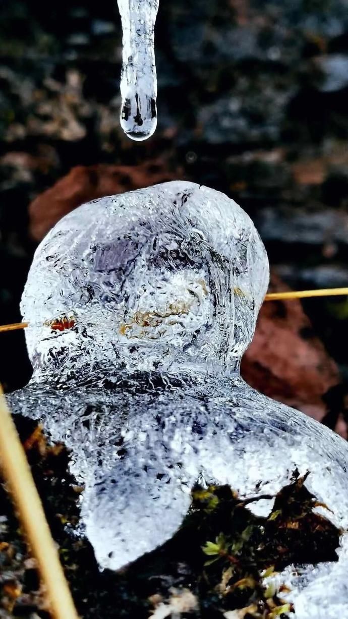  飘落|阅读雨城丨那些雪花飘落的日子