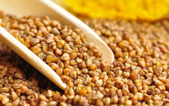 本草纲目|夏日消暑解渴来杯苦荞茶