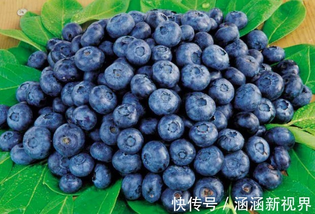 怀孕期|在怀孕期,有4种食物孕妈要常买来吃,能减轻孕吐,有益宝宝视力