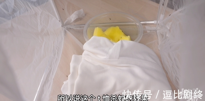 网红防蚊T恤，是智商税吗？