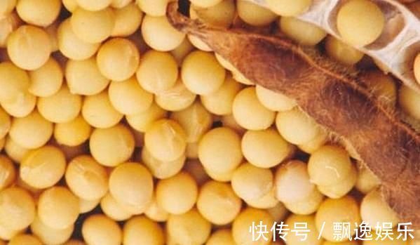 补钙|孩子能不能长高,看看他平时吃什么就清楚,你家孩子在吃吗