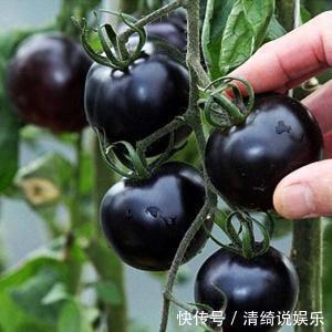 同龄人|女性不想被同龄人比下去,每天当零食吃,皱纹不见了,皮肤水嫩嫩