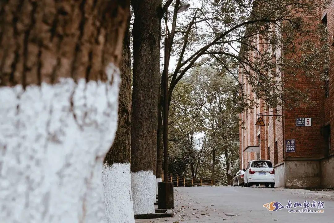 《你好，李焕英》取景地火了！咱乐山这些地方也有同款