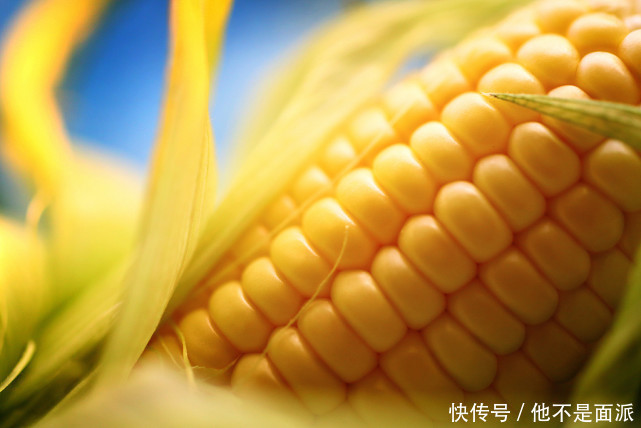 也会加剧血|每天吃玉米可以降血脂北大教授大错特错,真正降血脂的是一事