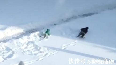 扫把|“佛系奶爸”带娃雪地里打滚火了，奶奶提着扫把还有3秒到达现场