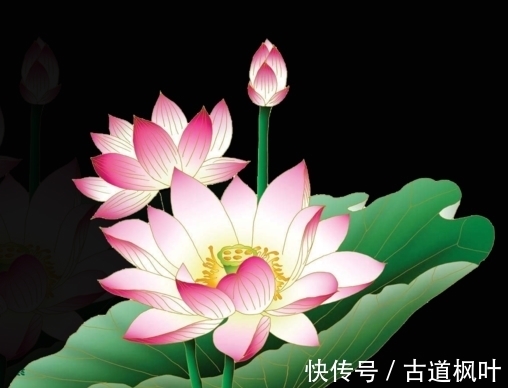 属相兔|12月中旬，运势蒸蒸日上，4属相财运大开，八方聚财，吉祥如意