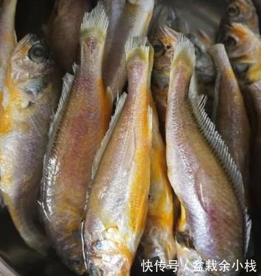 营养|这3种鱼自带重金属，价格虽然便宜，但营养低伤身体，别乱吃！