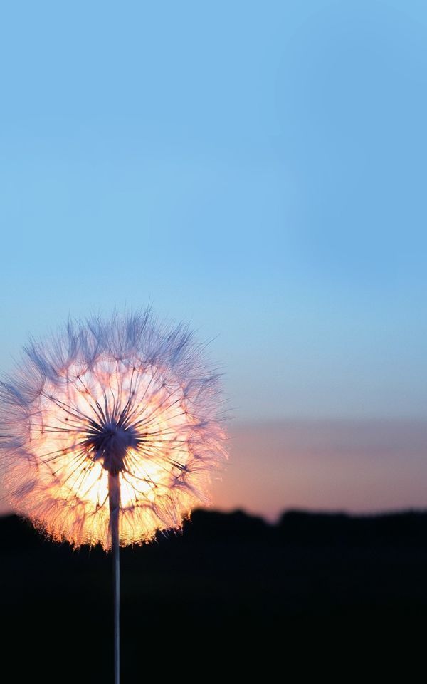 易小迪|3万撬动1800万，韧性思维带你走向成功