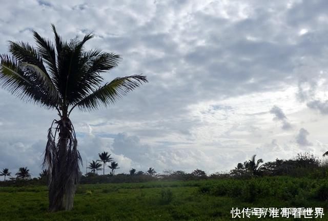 西月岛战略价值有多大，扼守重要水道，毗邻油气富集区