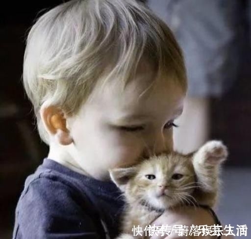 写作业|教育专家:再生气也不能对孩子说这三句话,真会影响孩子!