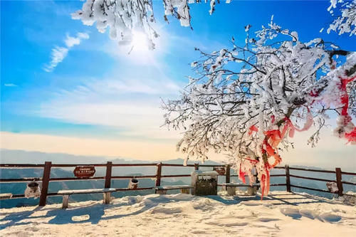 老君山|美炸了! 仿若天上宫阙, 雪后老君山雾凇云海, 琼楼玉宇美成仙境