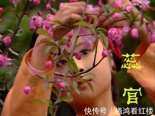 班子&梨香院的十二名女戏子，她们分别叫什么名字？