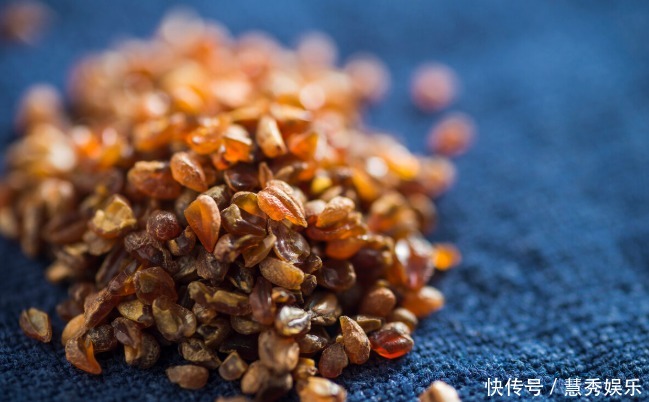  “黑苦荞”和“黄苦荞”有什么区别营养差别大，可别再乱买了