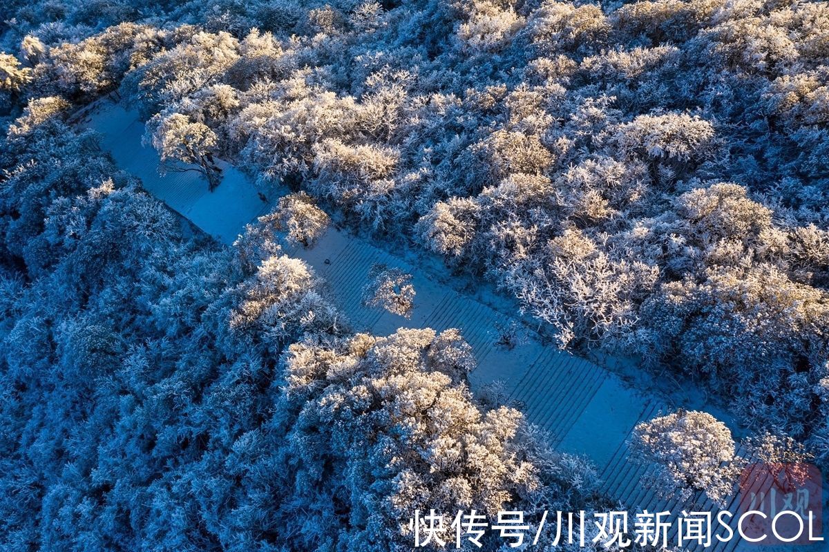 白雪|白雪+雾凇 绵阳千佛山变身“童话世界”