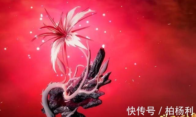 献祭|斗罗大陆敏之一族白鹤登场,小舞重塑身体,成功复活