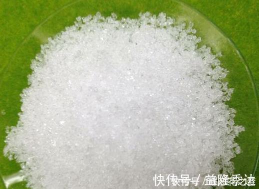 溶液|花期到了不开花用上1种“白粉末”,早晚浇一点,花多到压弯枝